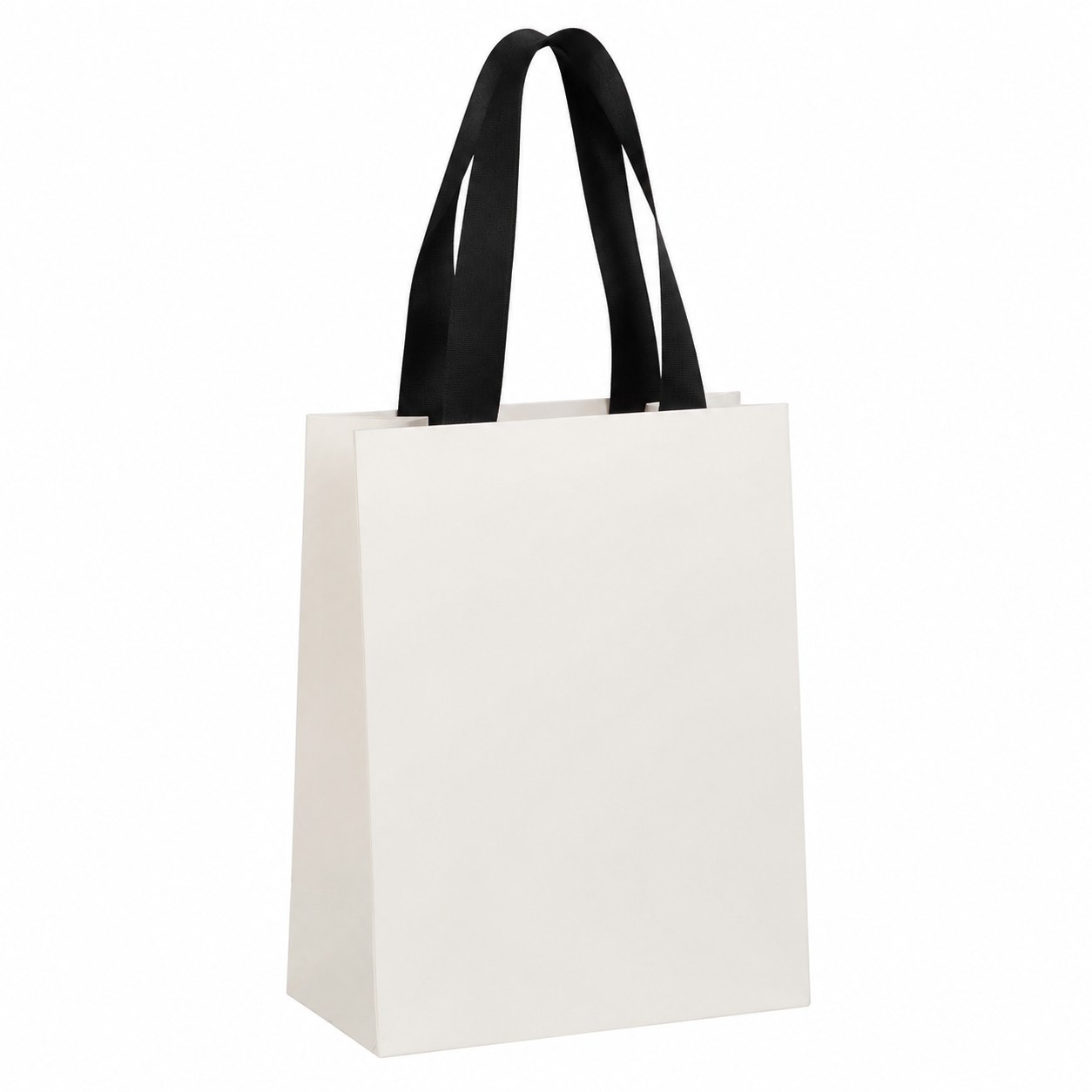 Sacchetto Regalo in Carta Pers - Luxury Bags In Store recensione e prezzo
